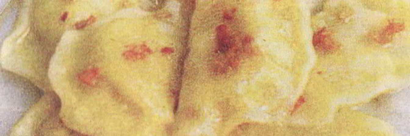 Вареники амурские