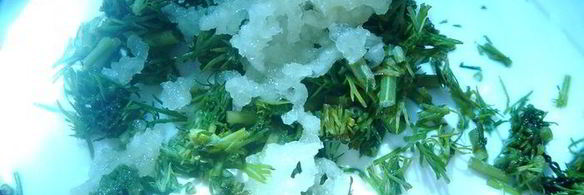 вареники с груздями