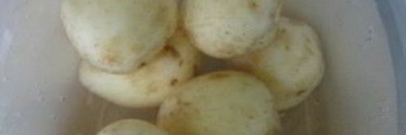 жаркое из цыпленка