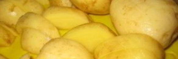 жаркое из цыпленка