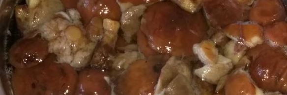 жаркое с индюшкой и маслятами