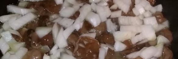 жаркое с индюшкой и маслятами