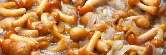 куриные зразы с грибами