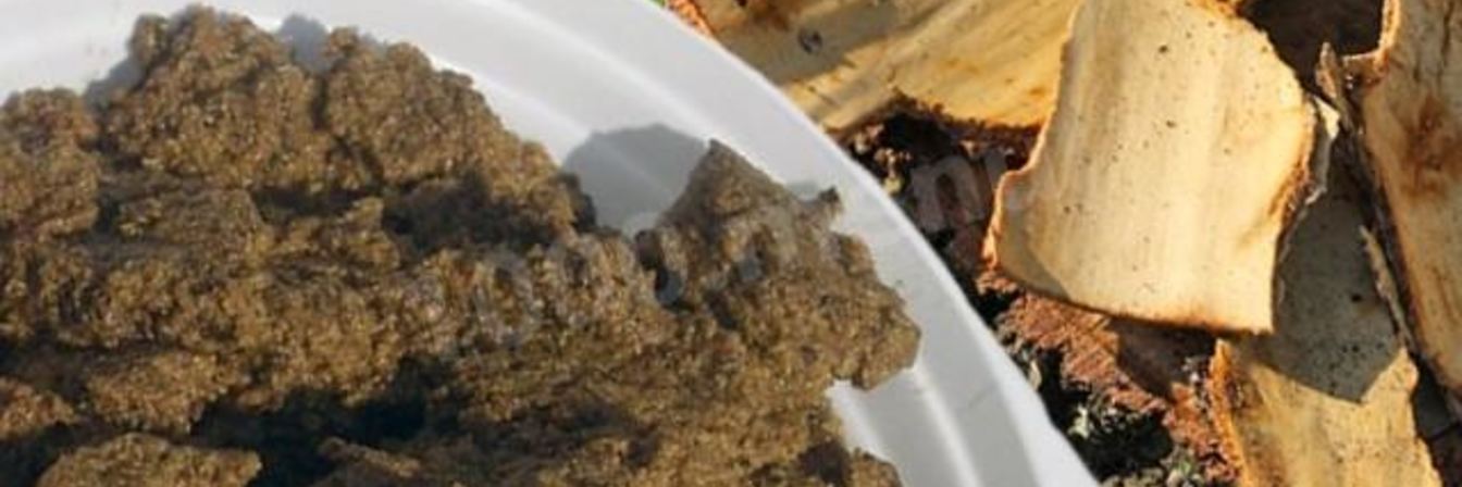 Березовая каша