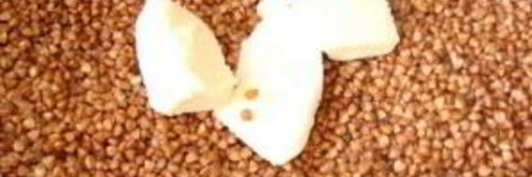 гречка с сухофруктами