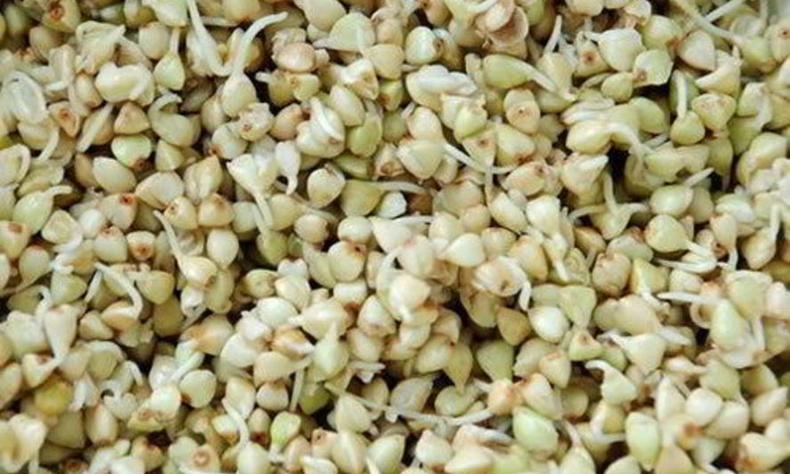 Рецепт пророщенной гречки