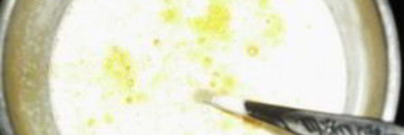 кукурузная каша на молоке