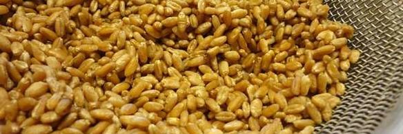 медовая кутья