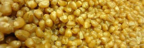 медовая кутья