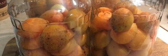 абрикосы в сахарном сиропе на зиму