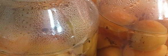 абрикосы в сахарном сиропе на зиму