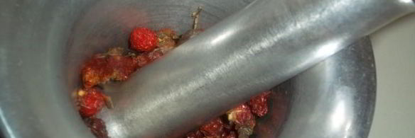 чай из плодов шиповника с мелиссой