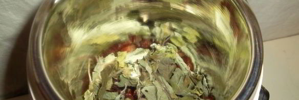 чай из плодов шиповника с мелиссой