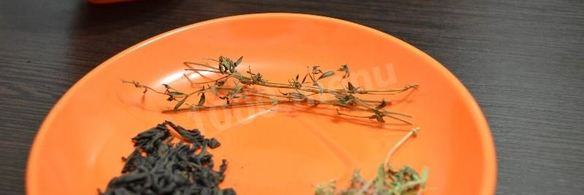 чай с чабрецом