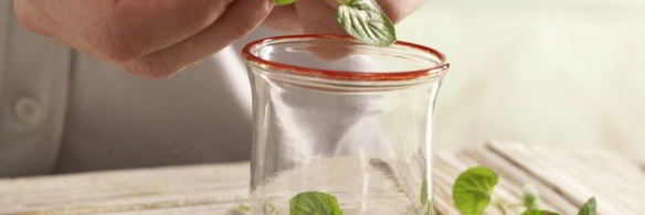 чай с мятой