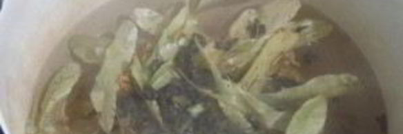 зеленый чай с липой