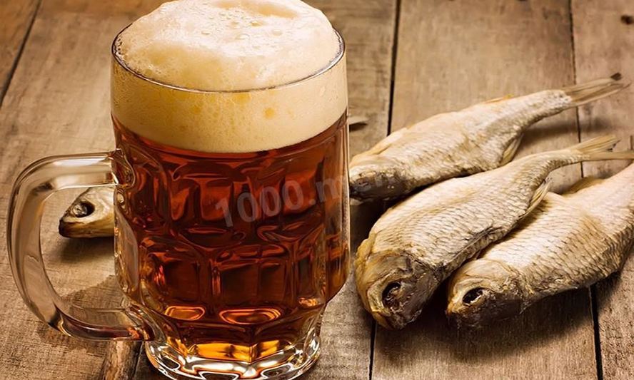 Рецепт домашнего пива из квасного сусла