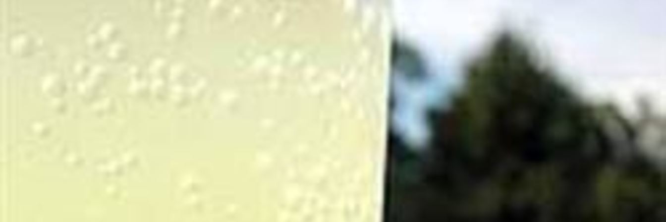 Имбирный эль