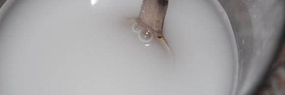 кисель из ревеня