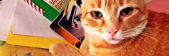 кофейный напиток на льняной муке