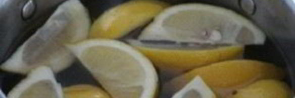 куриные крылышки в лимонном сиропе