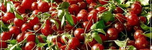 вишневая наливка