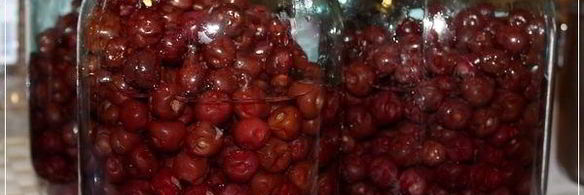 вишневая наливка