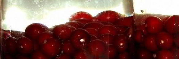 вишневая наливка