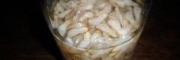 напиток из акации на зиму