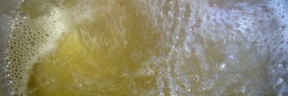 слива, замороженная в сахарном сиропе