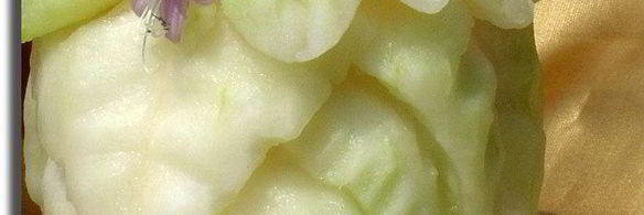 смузи магический цветок