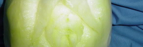 смузи магический цветок