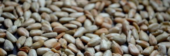 смузи зеленое