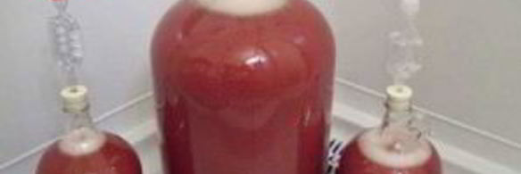 вино из черноплодки