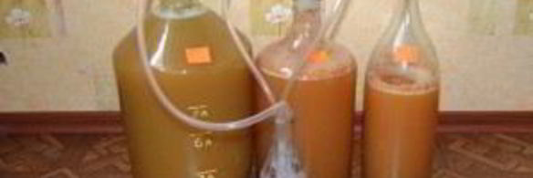 вино из яблок