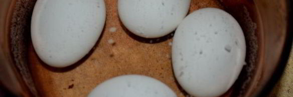 салат картофельный с релиш-соусом