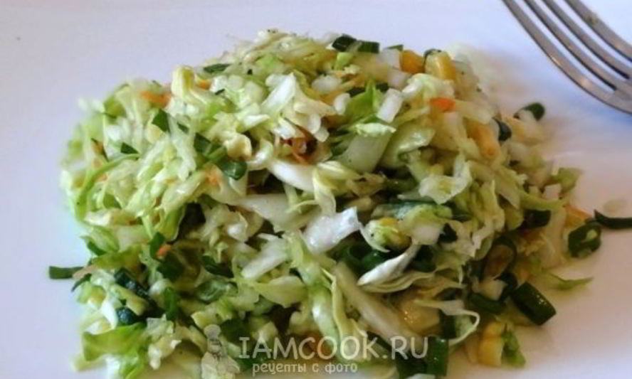 Рецепт легкого капустного салата к шашлыку