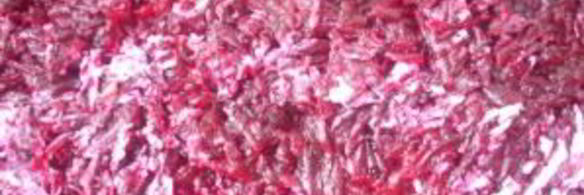 селедка под шубой с жареным луком