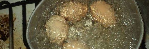 семга под шубой