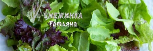 салат с авокадо, курицей, сельдереем и грейпфрутом