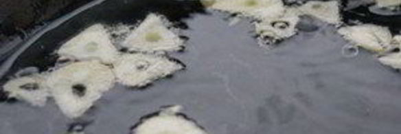 цезарь с курицей и сухариками