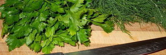 зеленый салат со щавелем