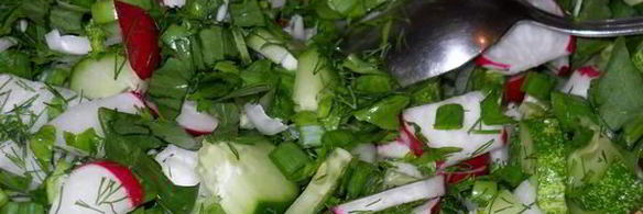 зеленый салат со щавелем