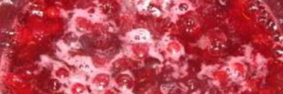 быстрый клюквенный соус