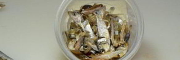 тайский рыбный соус