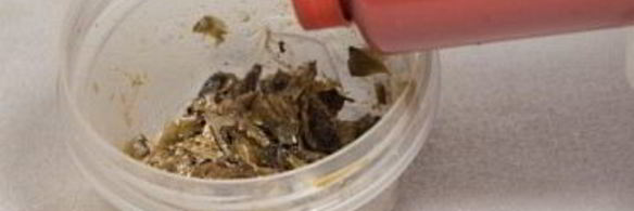 тайский рыбный соус