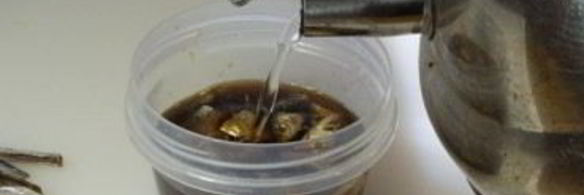 тайский рыбный соус