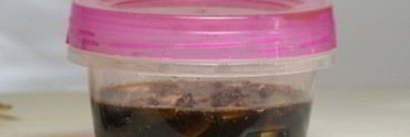 тайский рыбный соус