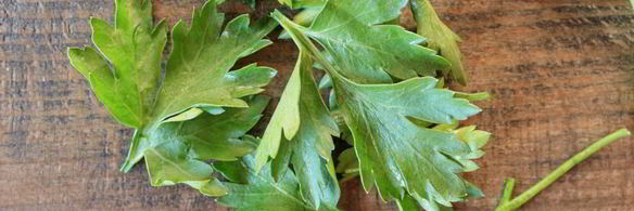 зеленый соус