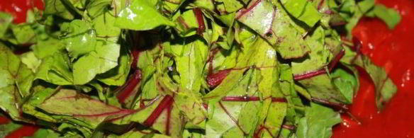 борщ, диета 5